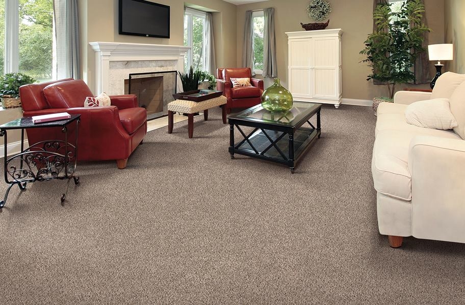 Air o Gentle Breeze Carpet with Pad
