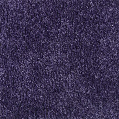 Violet carpets